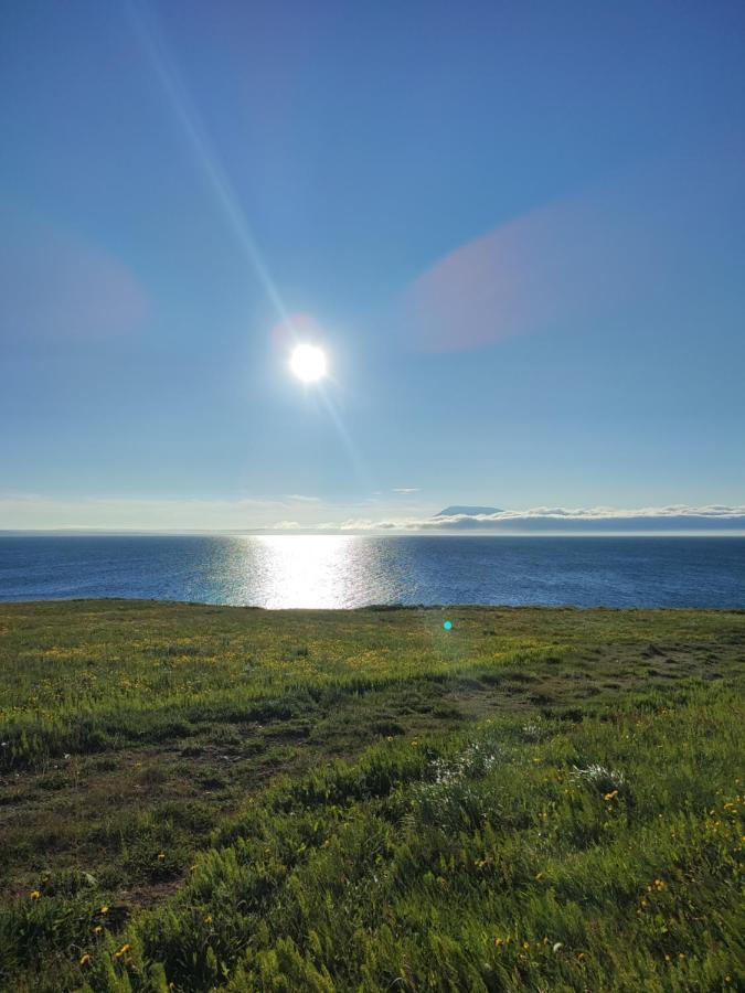 Happy-Cove Guesthouse - By The Sea Bakkafjorthur ภายนอก รูปภาพ